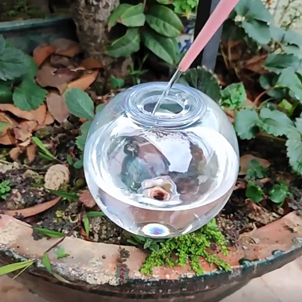 500ML Self Watering Globes Dri - Self Watering Insert recensione e prezzo