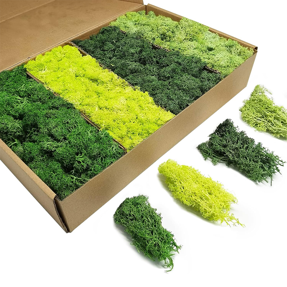Artificial Green Plants Eterna - Sphagnum Moss Dry recensione e prezzo