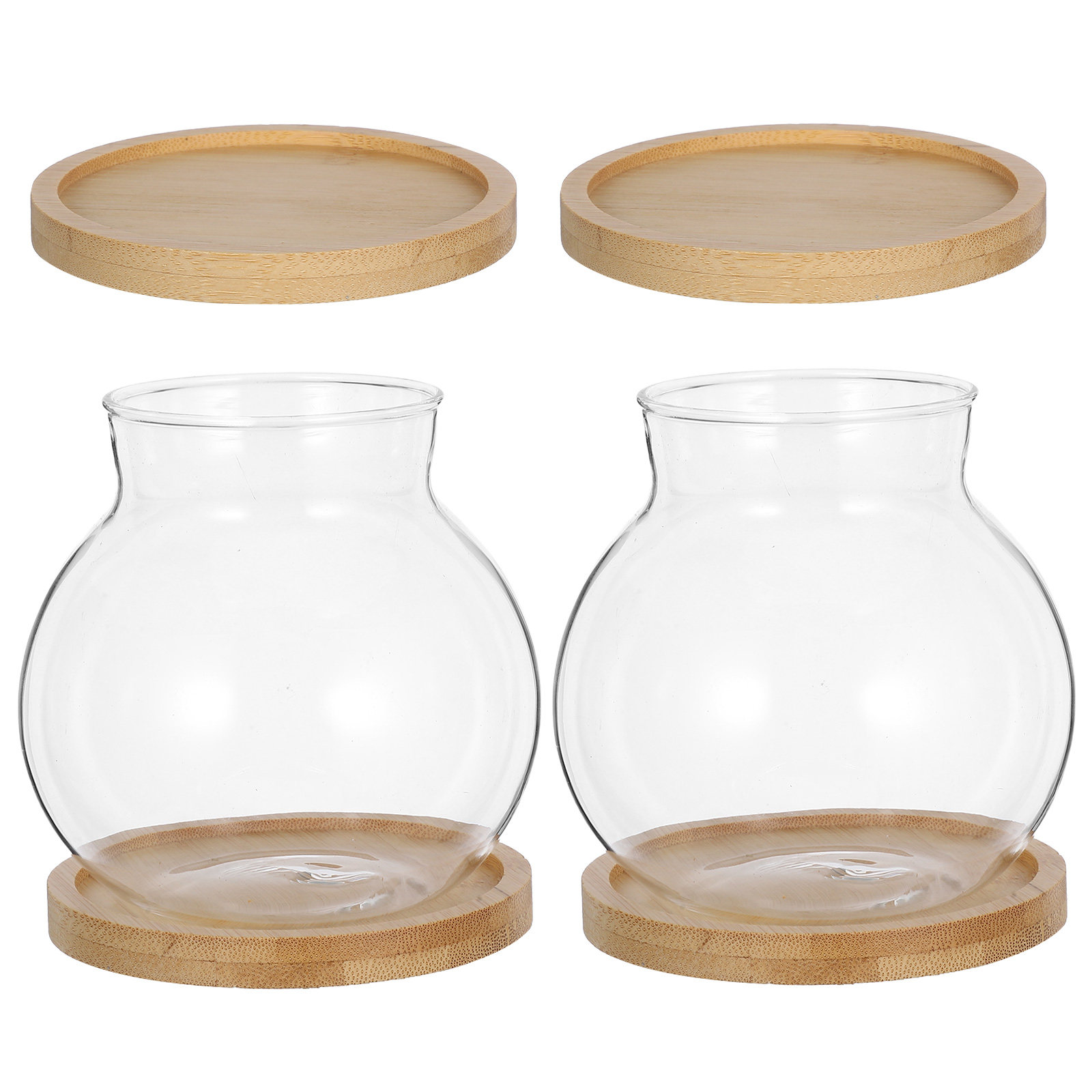 2Set Hydroponic Vase Glass Pro - Propagation Station Vase recensione e prezzo