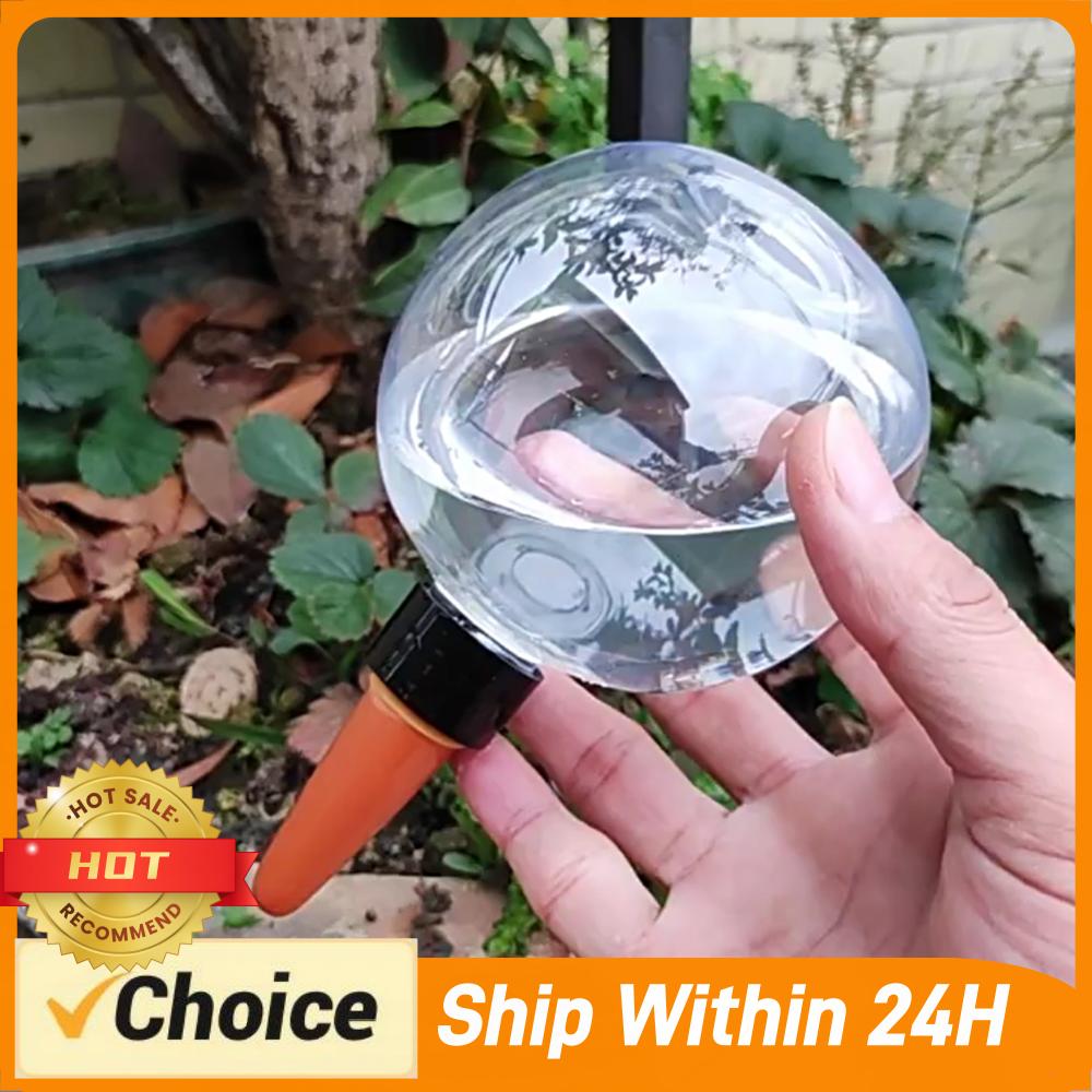 500ML Automatic Plant Waterer  - Self Watering Insert recensione e prezzo