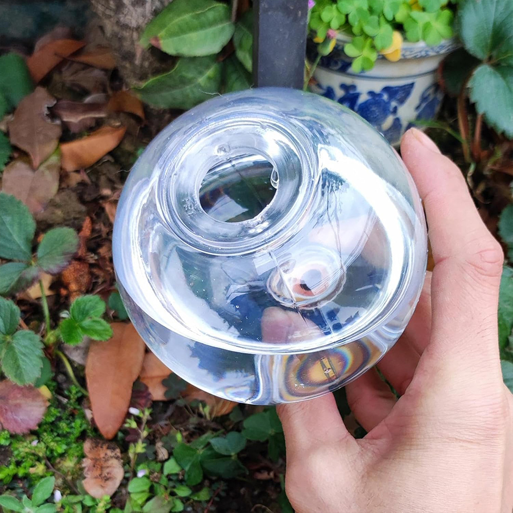 500ML Automatic Plant Waterer  - Self Watering Insert recensione e prezzo