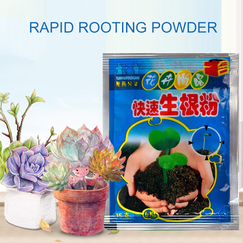 5pcs Fast Rooting Powder Plant - Rooting Hormone Powder recensione e prezzo