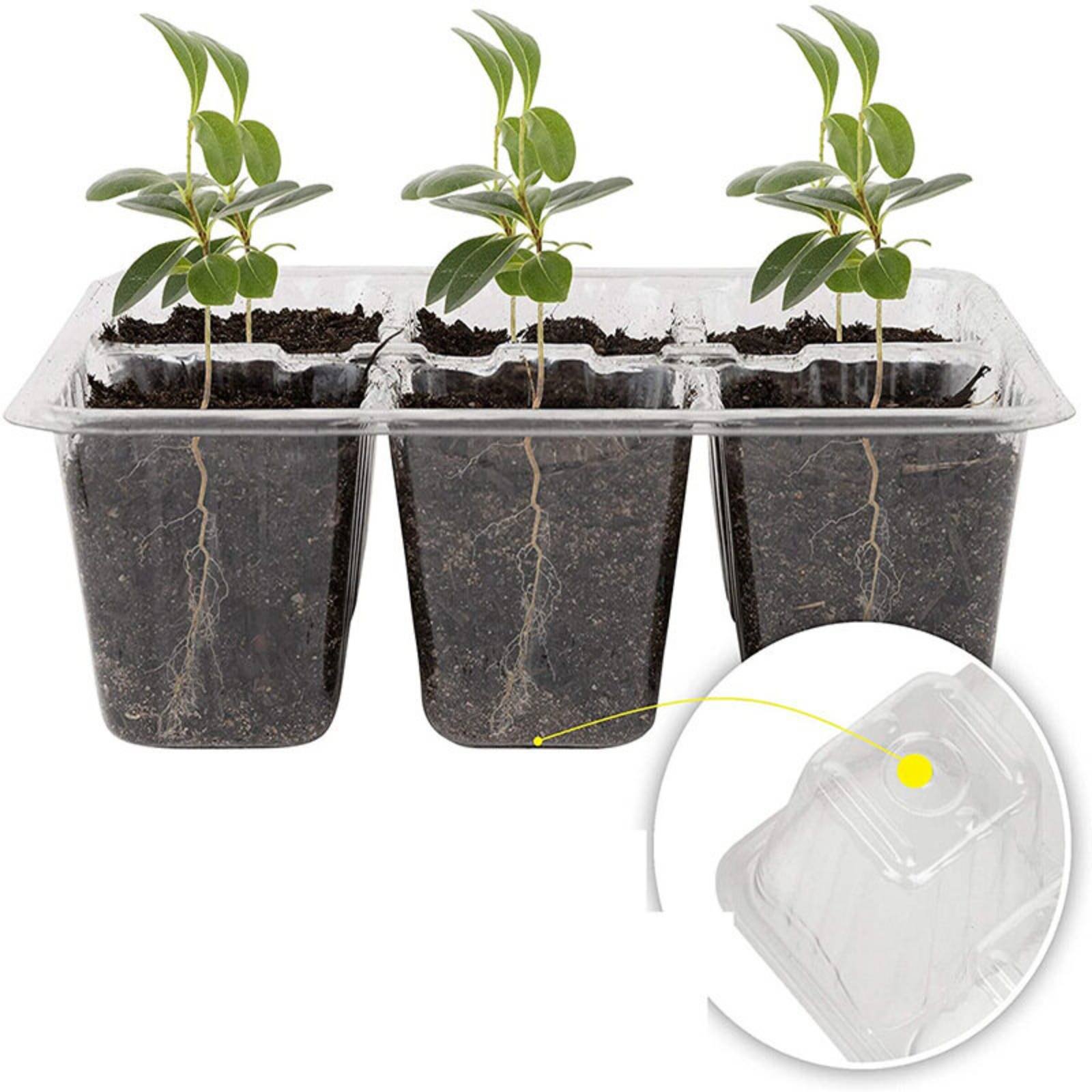 12 Compartment Germination Tra - Humidity Dome Kit recensione e prezzo