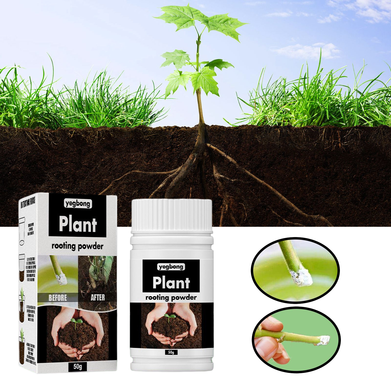 1Rare Plant Rooting Powder Pla - Rooting Hormone Powder recensione e prezzo