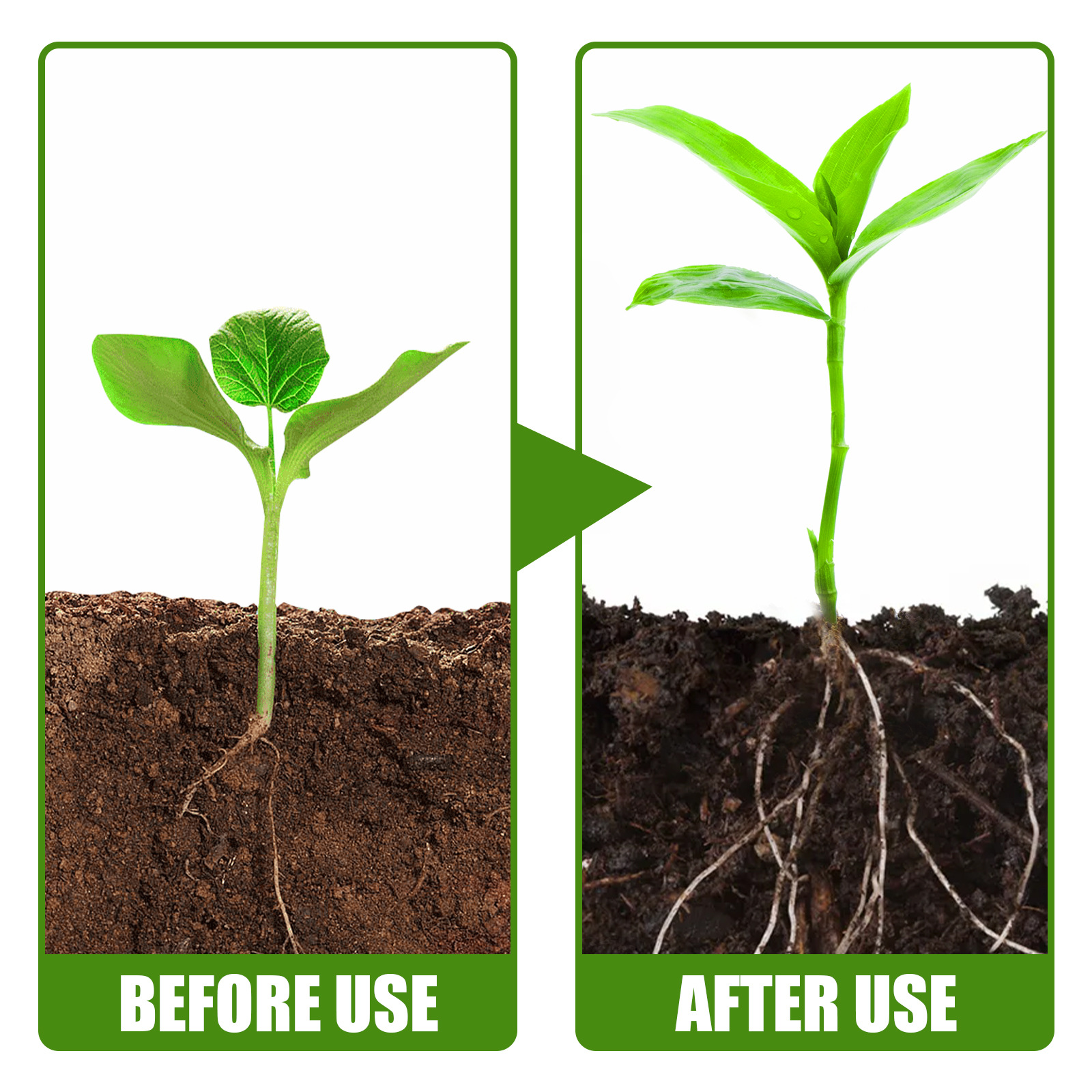 1Rare Plant Rooting Powder Pla - Rooting Hormone Powder recensione e prezzo