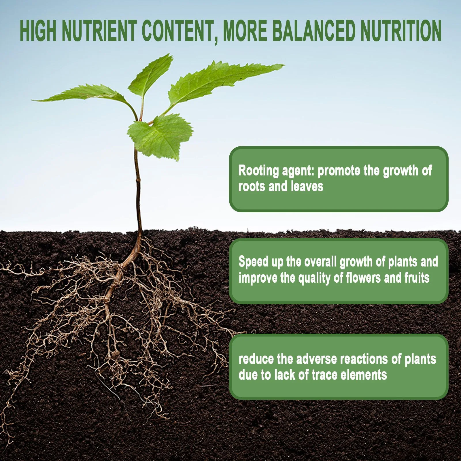 1Rare Plant Rooting Powder Pla - Rooting Hormone Powder recensione e prezzo