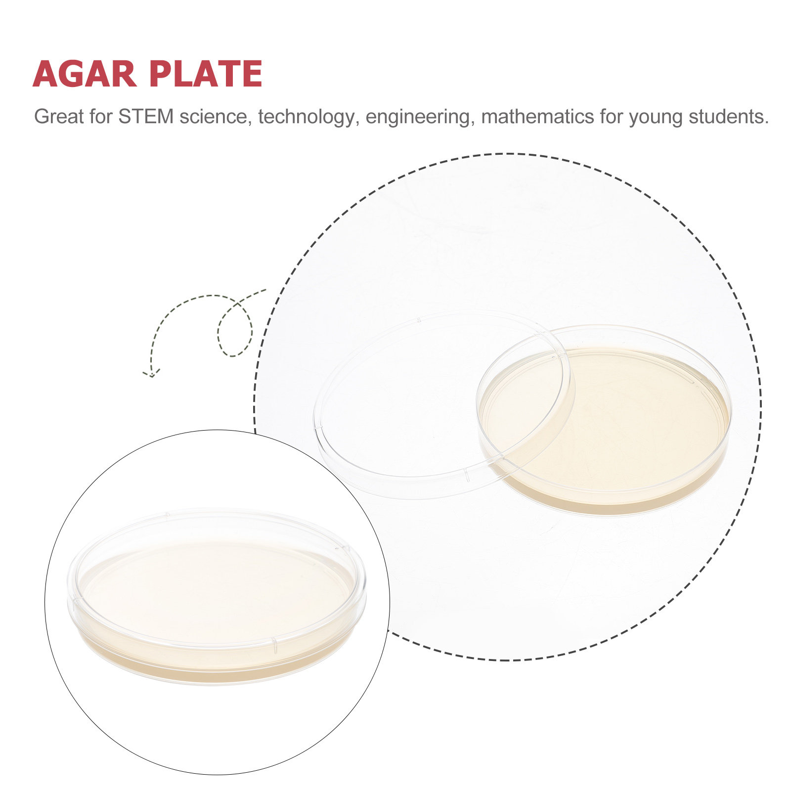 10pcs Nutrient Agar Plates Pre - Agar Tissue Culture recensione e prezzo