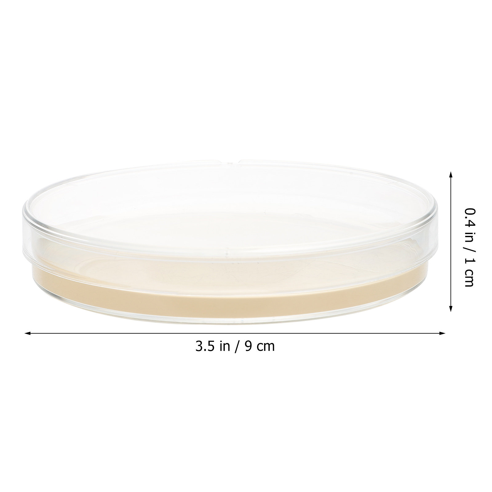 10pcs Nutrient Agar Plates Pre - Agar Tissue Culture recensione e prezzo
