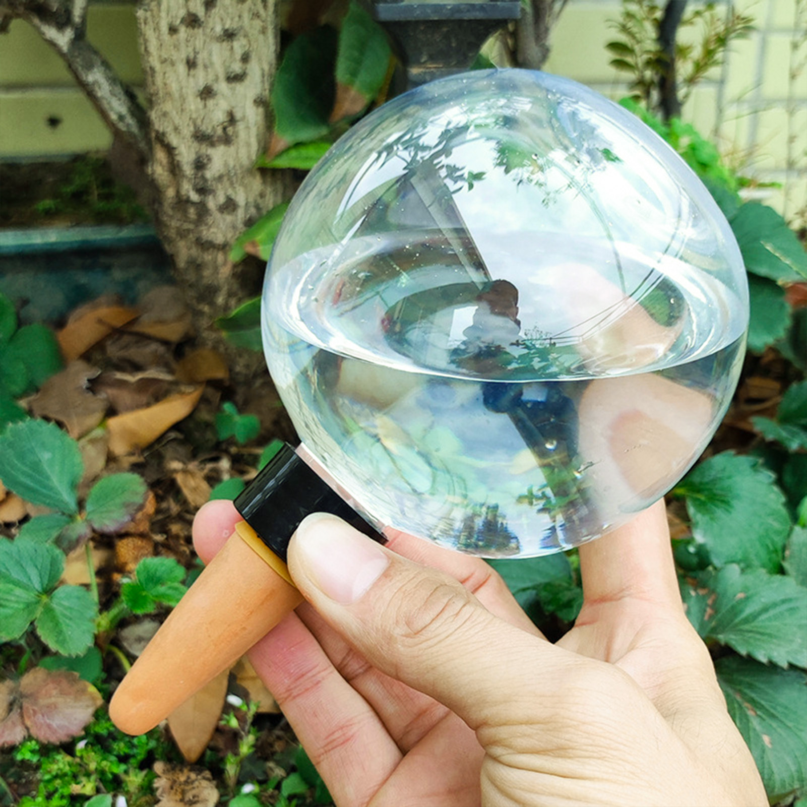 500ML Automatic Plant Watering - Self Watering Insert recensione e prezzo