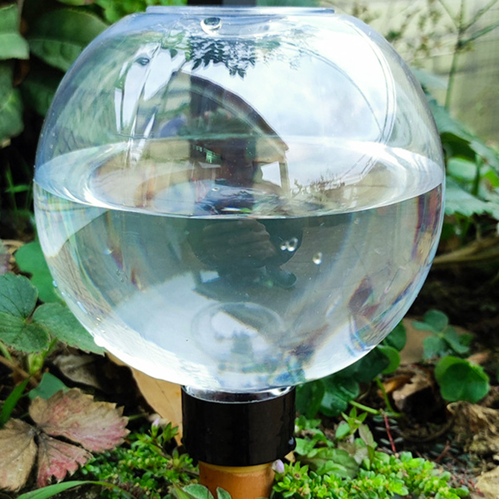 500ML Automatic Plant Watering - Self Watering Insert recensione e prezzo