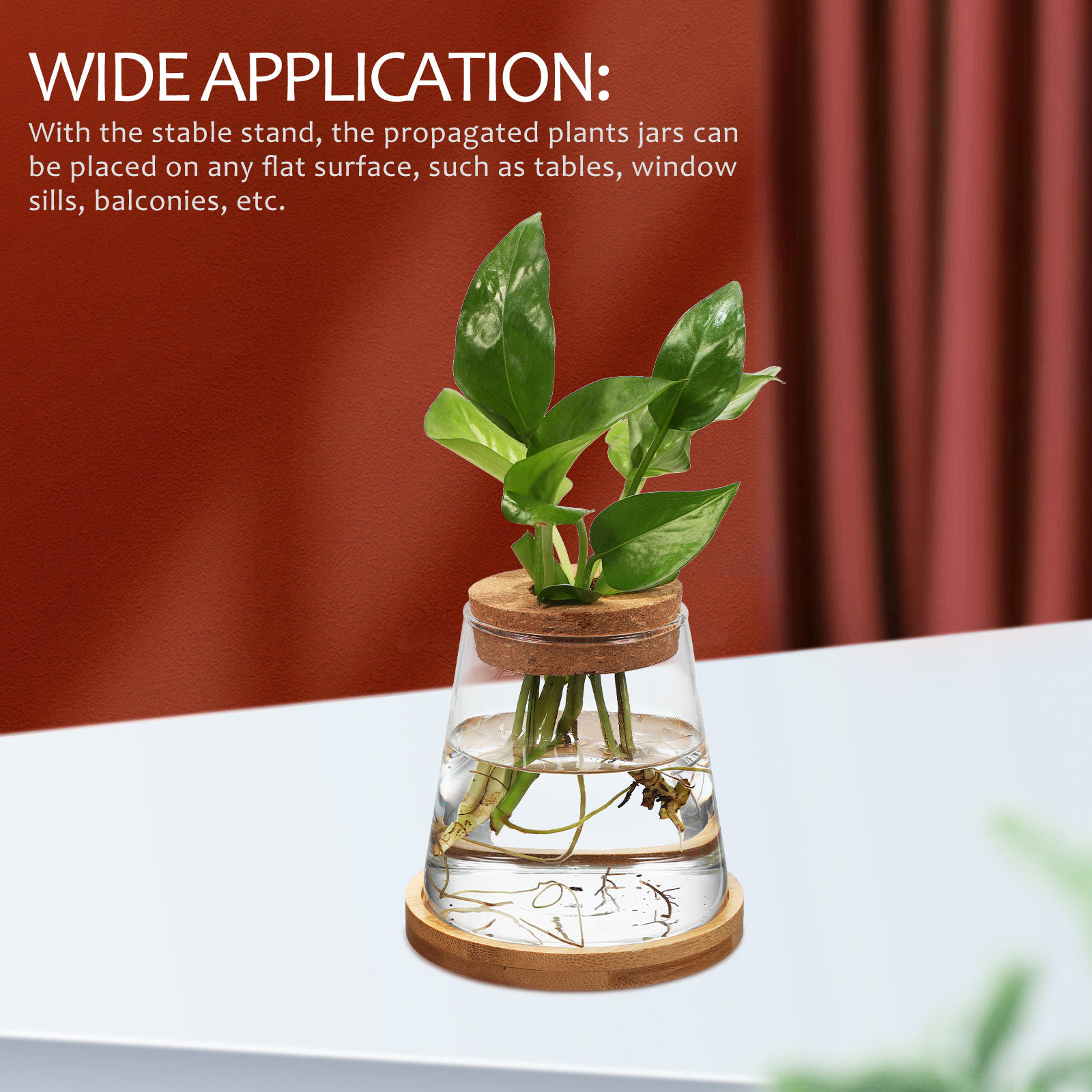 2Pcs Hydroponic Plants Propaga - Propagation Station Vase recensione e prezzo