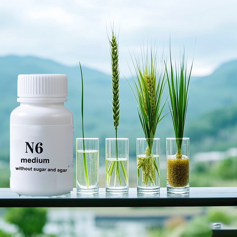 N6 Medium Wtihout Sugar Or Aga - Agar Tissue Culture recensione e prezzo