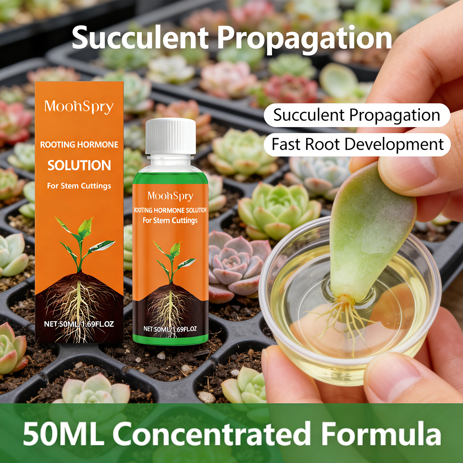 Plant Rooting Agent Effectivel - Root Stimulator Liquid recensione e prezzo