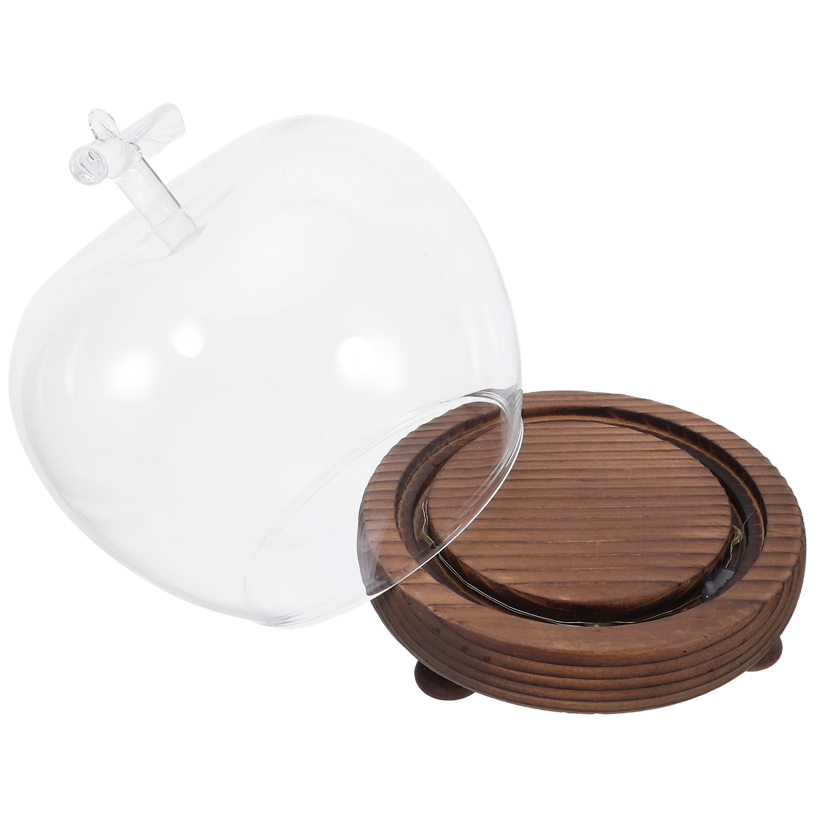 Clear Glass Dome Display with  - Plastic Dome Clear recensione e prezzo