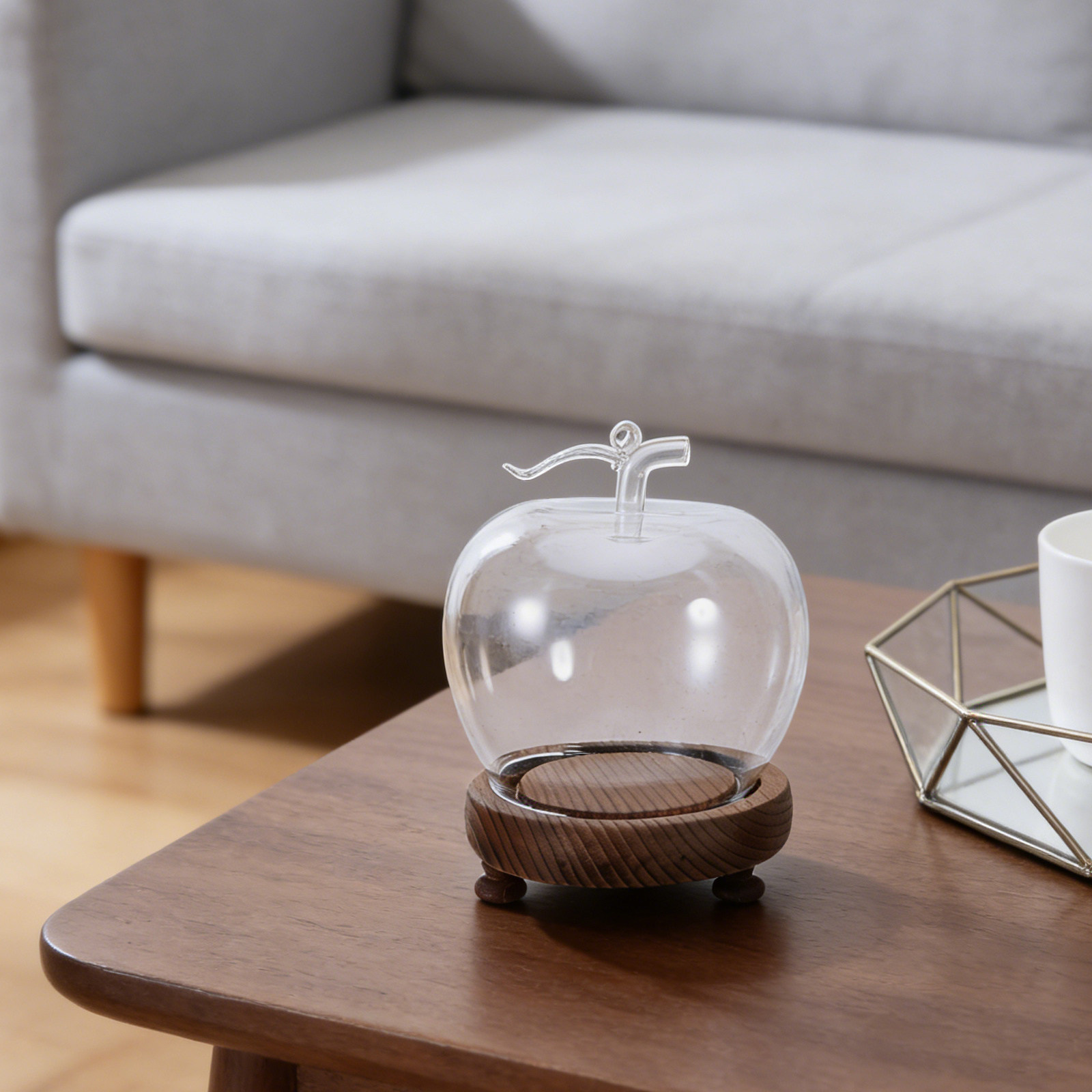 Clear Glass Dome Display with  - Plastic Dome Clear recensione e prezzo