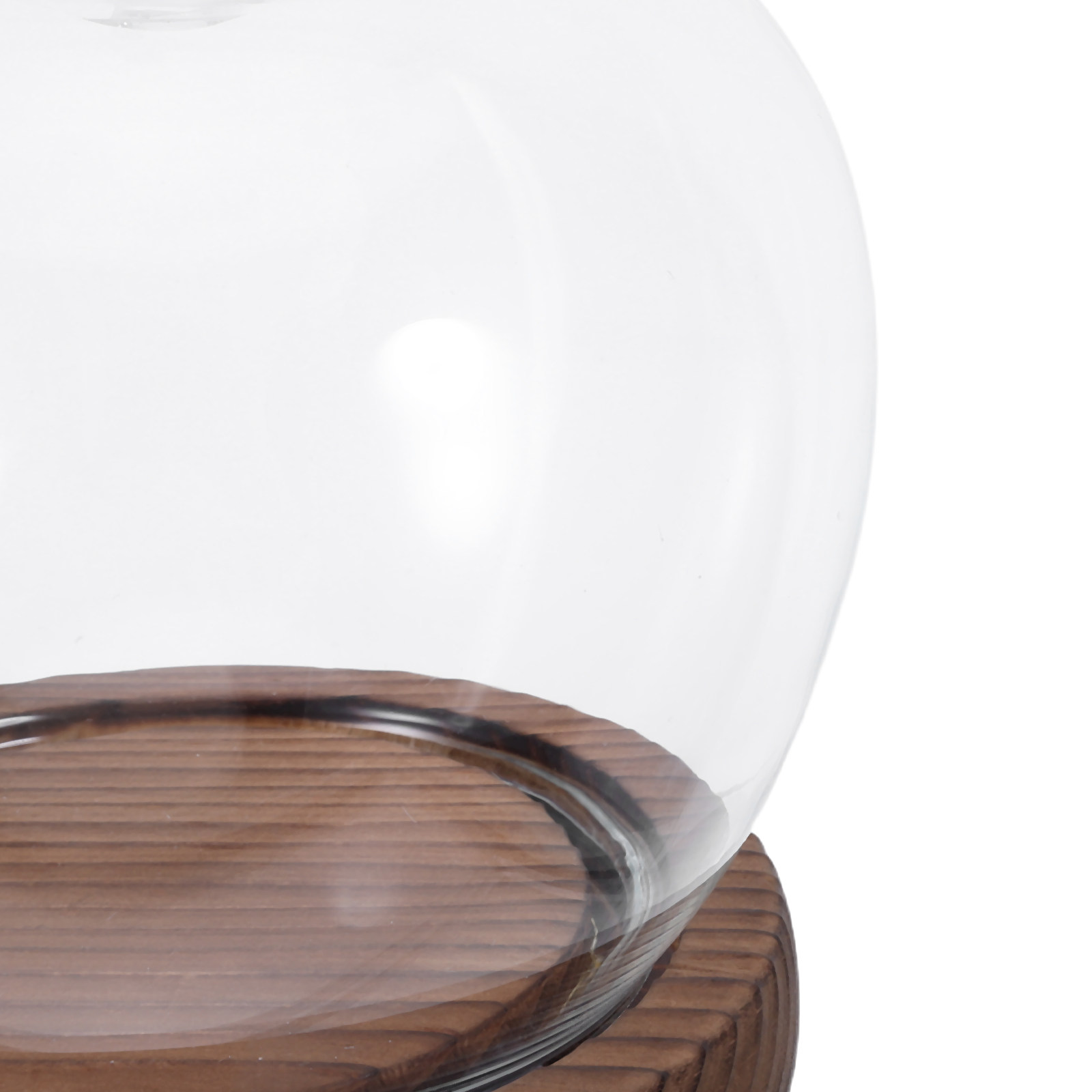 Clear Glass Dome Display with  - Plastic Dome Clear recensione e prezzo
