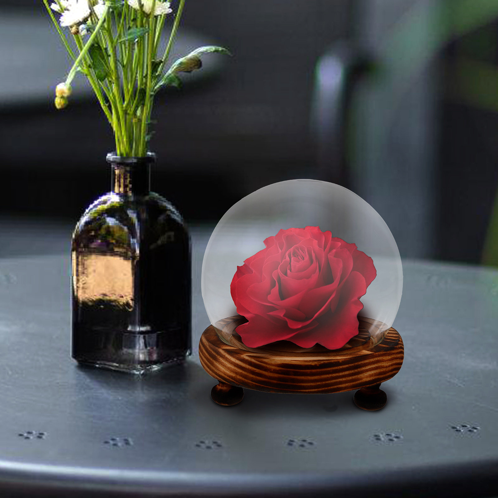 Glass Dome Display Case with W - Plastic Dome Clear recensione e prezzo