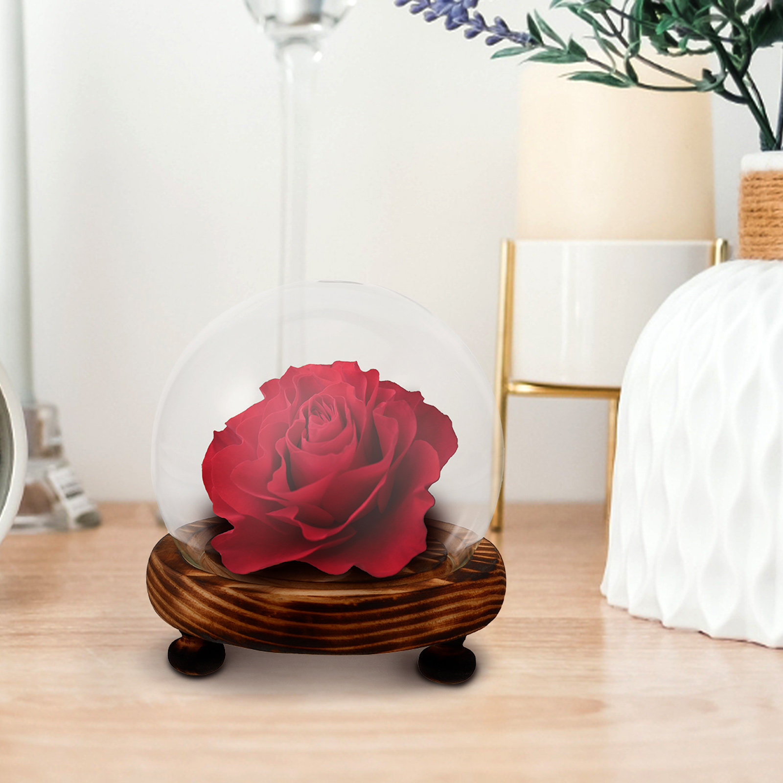 Glass Dome Display Case with W - Plastic Dome Clear recensione e prezzo