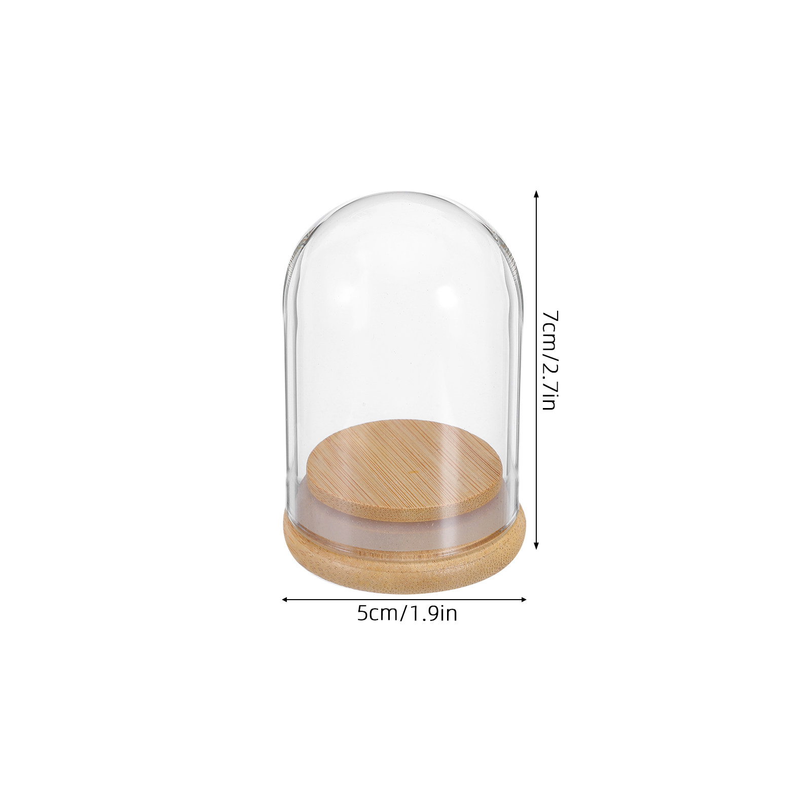 6Pcs Clear Glass Cloche Dome D - Plastic Dome Clear recensione e prezzo