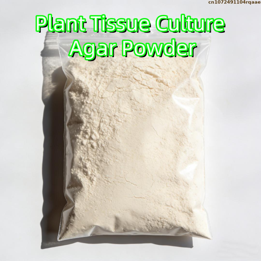 Premium Plant Tissue Culture A - Agar Tissue Culture recensione e prezzo