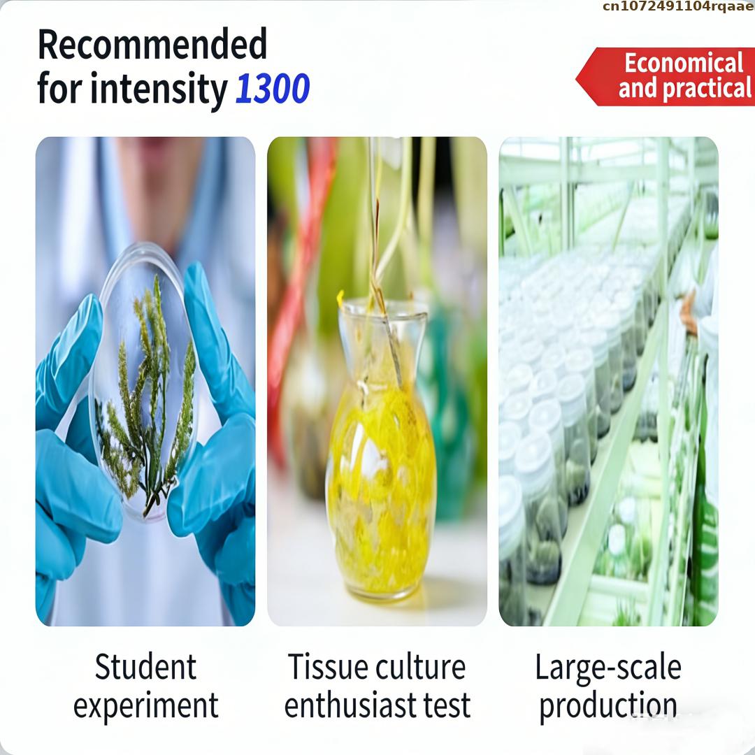 Premium Plant Tissue Culture A - Agar Tissue Culture recensione e prezzo