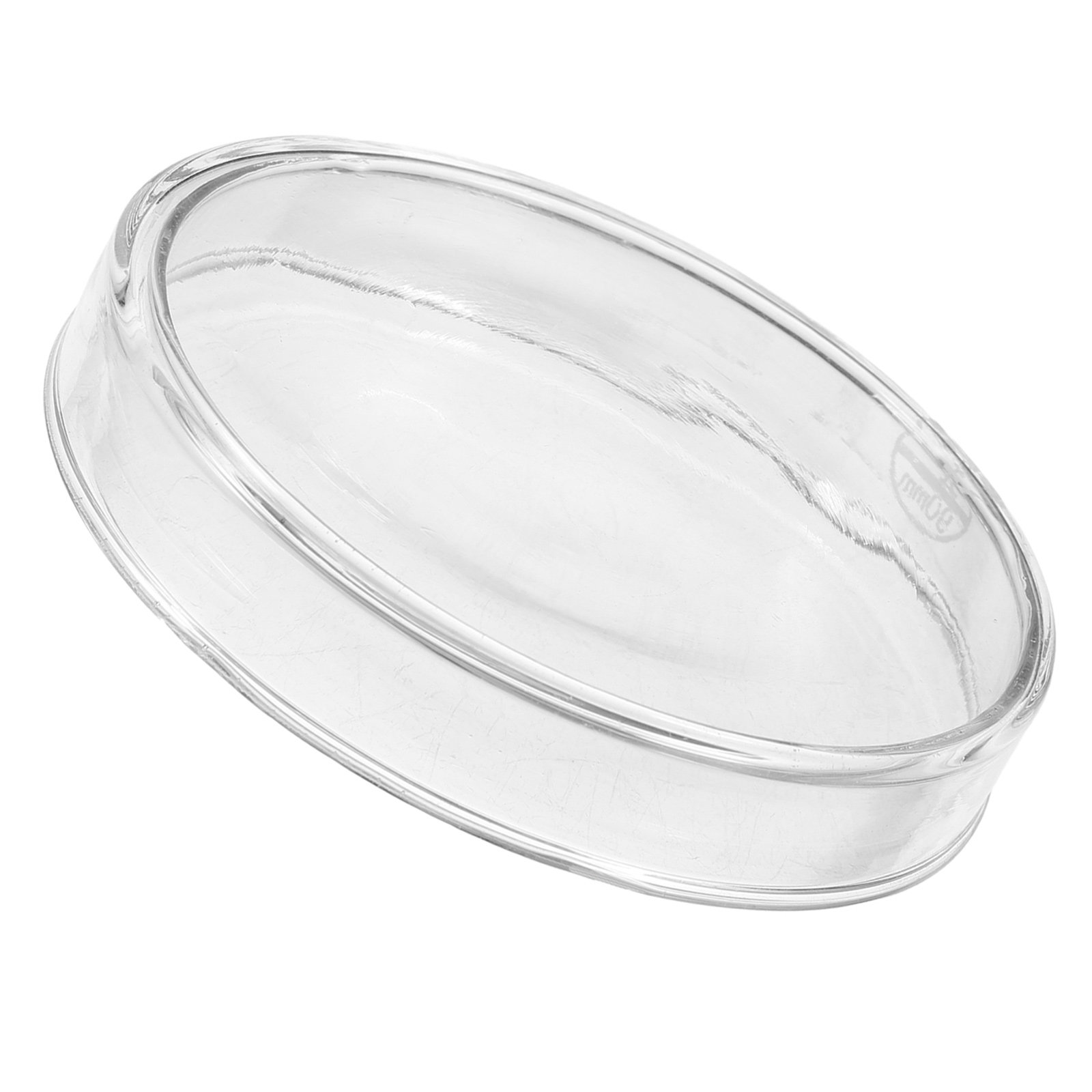 Glass Petri Dish Laboratory Us - Agar Tissue Culture recensione e prezzo