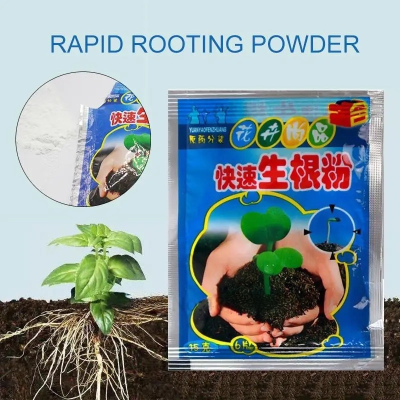 5pcs Fast Rooting Powder Plant - Rooting Hormone Powder recensione e prezzo