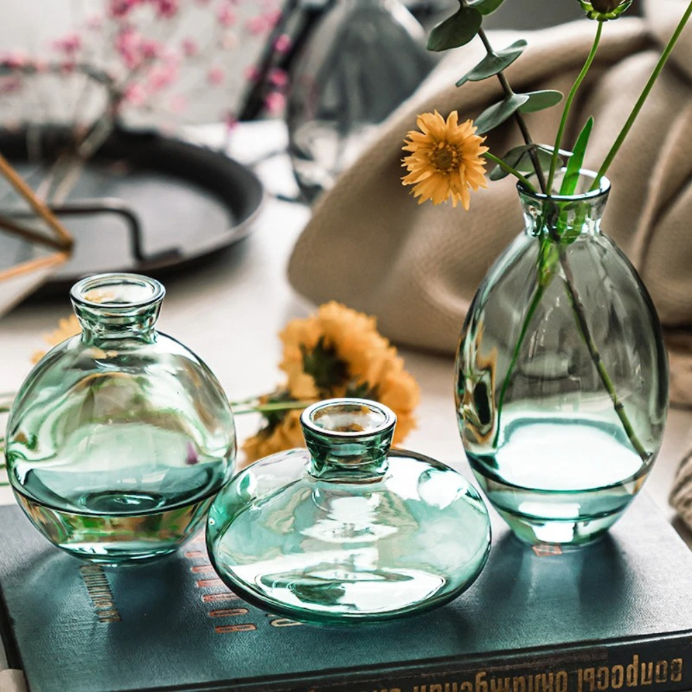 Nordic Transparent Glass Vase  - Propagation Station Vase recensione e prezzo