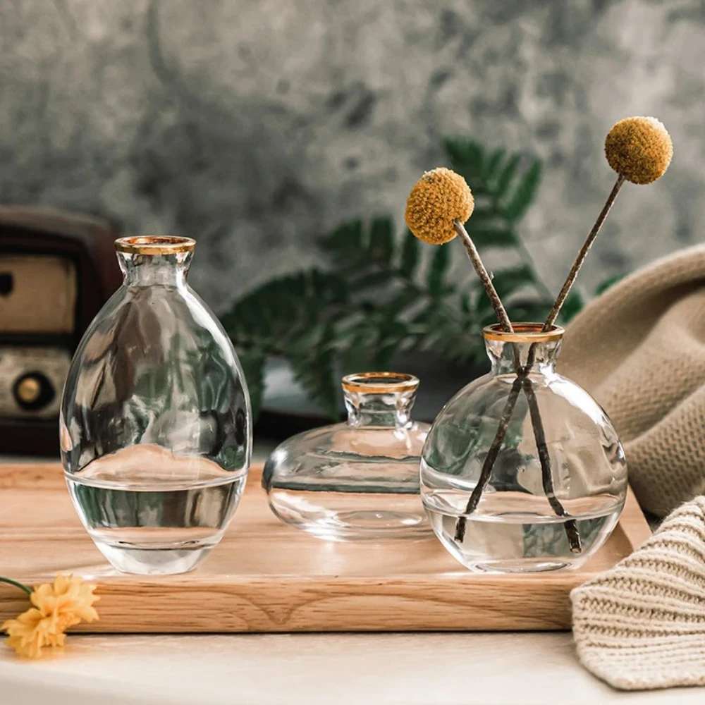 Nordic Transparent Glass Vase  - Propagation Station Vase recensione e prezzo