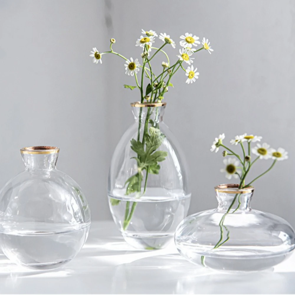 Nordic Transparent Glass Vase  - Propagation Station Vase recensione e prezzo