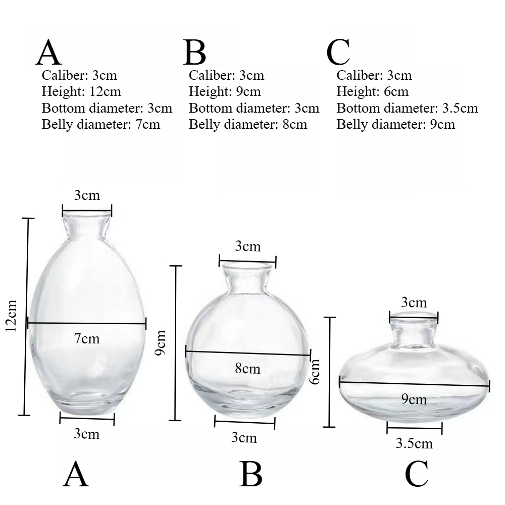 Nordic Transparent Glass Vase  - Propagation Station Vase recensione e prezzo