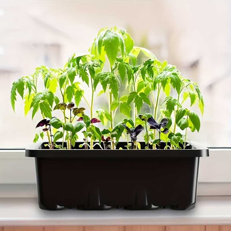 Seedling Starter Kit 1/2/3 Set - Humidity Dome Kit recensione e prezzo