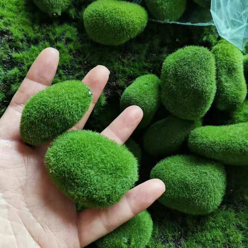 Artificial Green Moss Stones f - Sphagnum Moss Dry recensione e prezzo