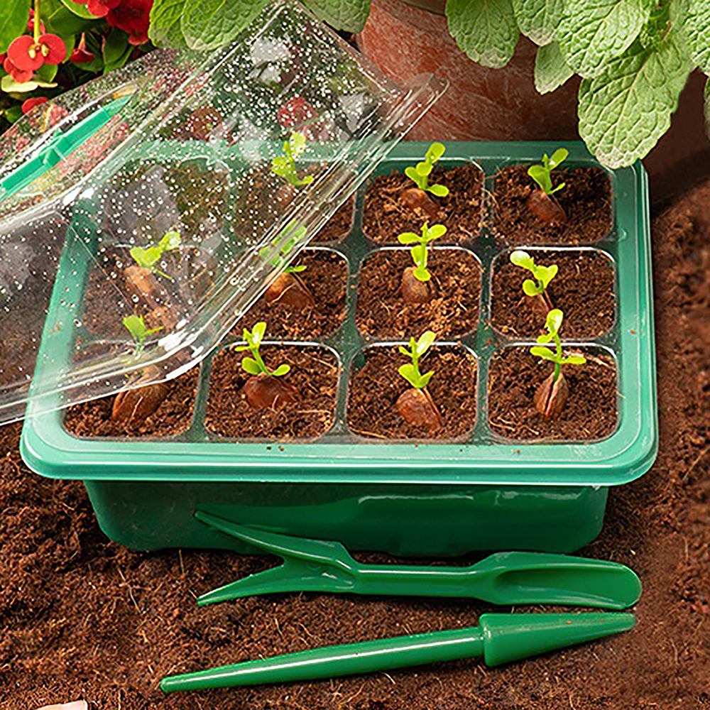 Seed Starter Trays with Grow L - Humidity Dome Kit recensione e prezzo