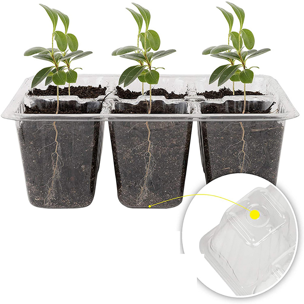 Seed Starter Trays with Grow L - Humidity Dome Kit recensione e prezzo