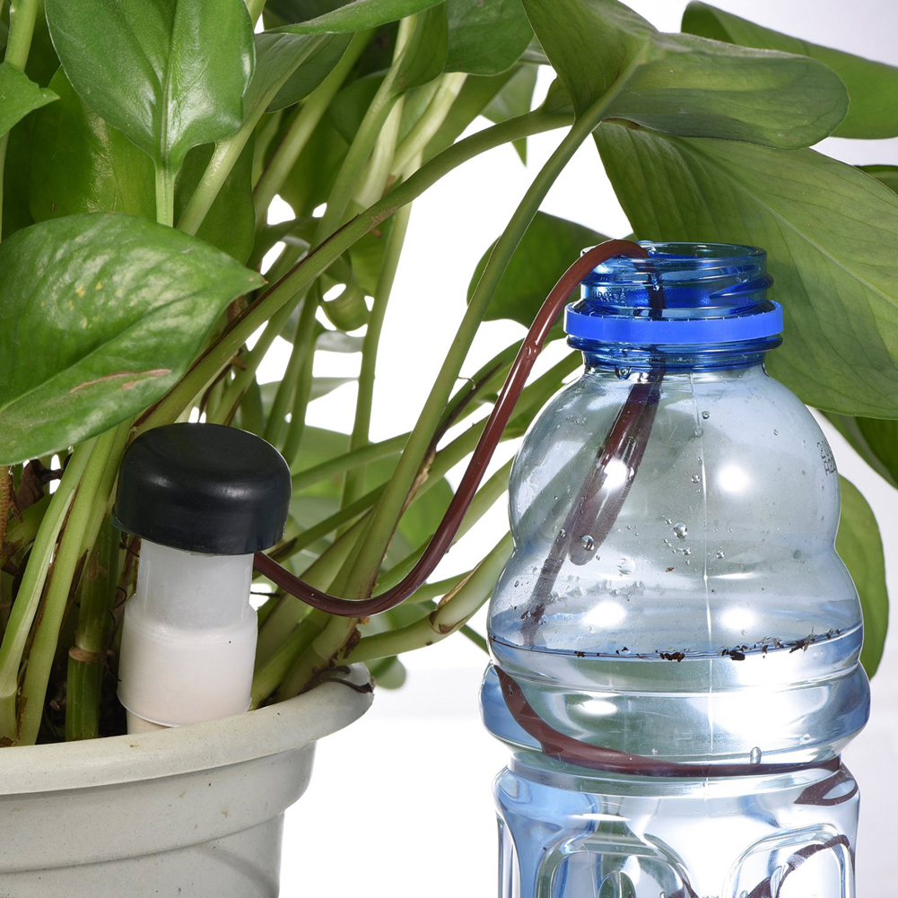 8-24Pcs Self-Watering Probes A - Self Watering Insert recensione e prezzo