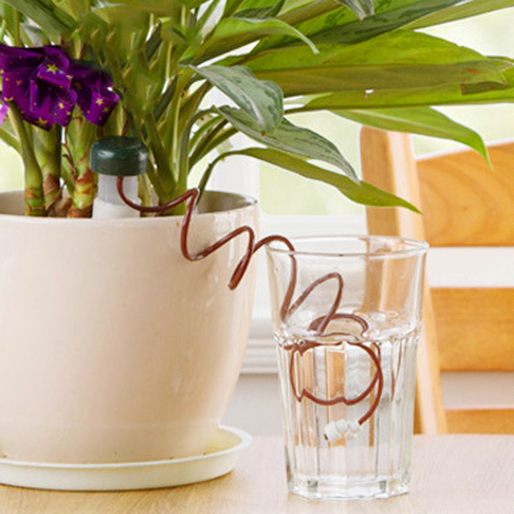 8-24Pcs Self-Watering Probes A - Self Watering Insert recensione e prezzo