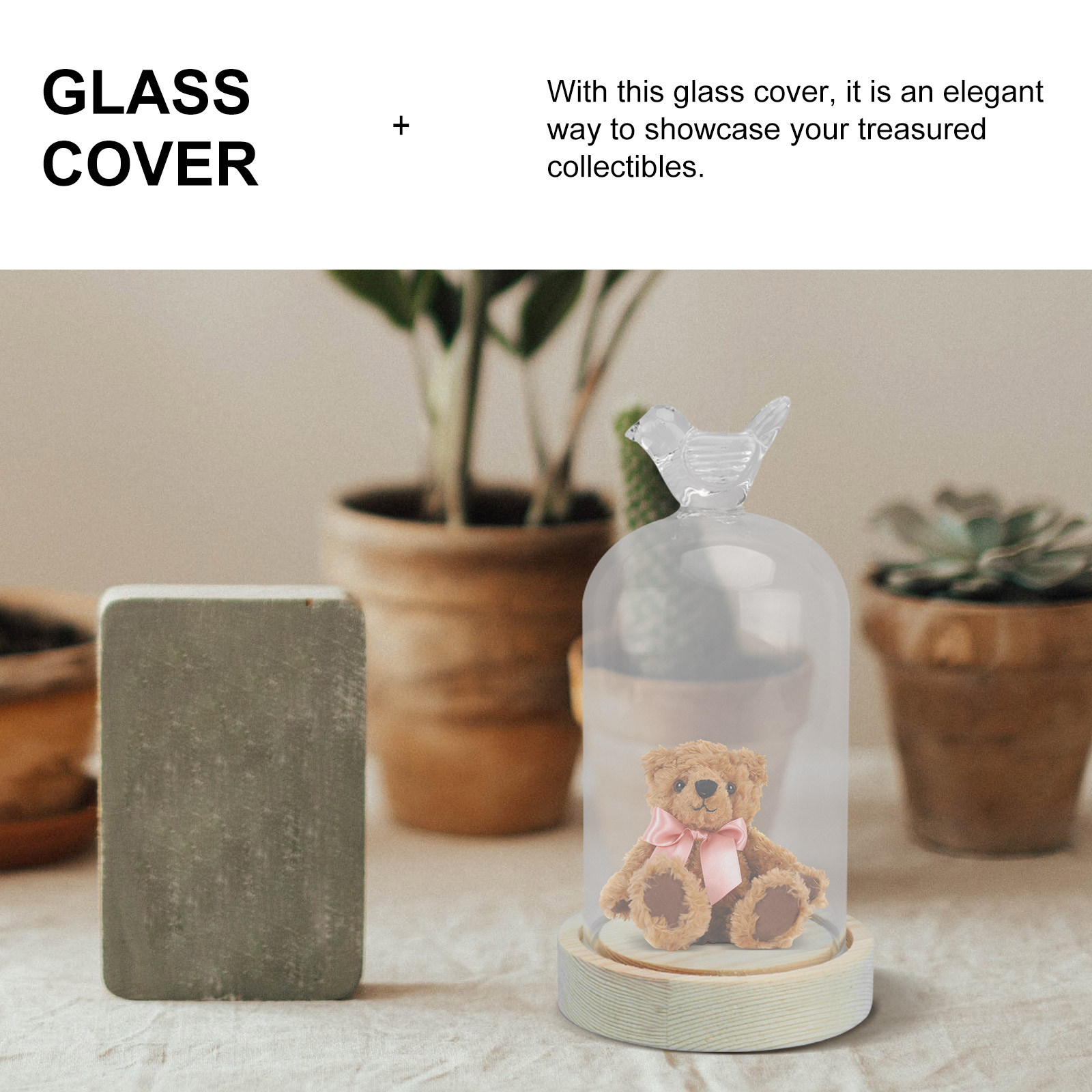 1Pcs Glass Display Cover Clear - Plastic Dome Clear recensione e prezzo