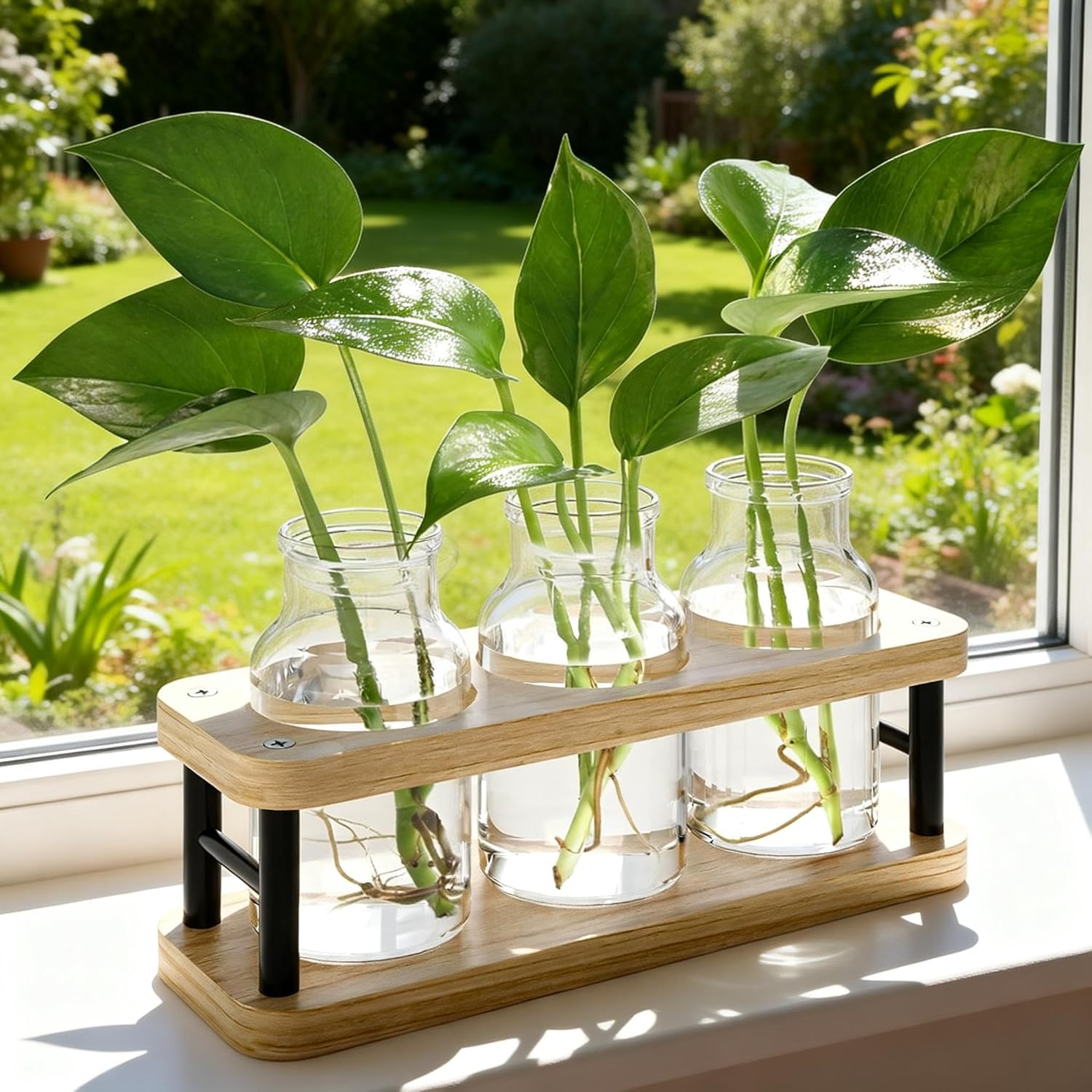 Propagation Station with Woode - Propagation Station Vase recensione e prezzo