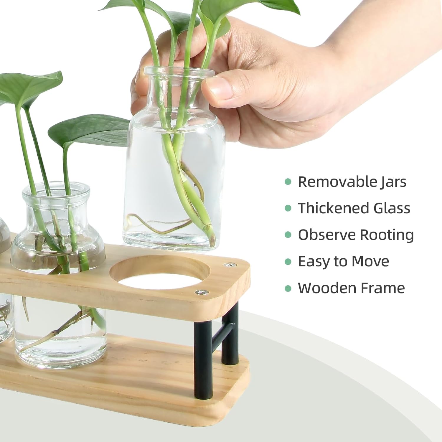 Propagation Station with Woode - Propagation Station Vase recensione e prezzo
