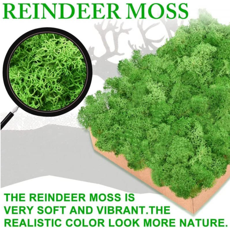 New 50/30/10g Artificial Green - Sphagnum Moss Dry recensione e prezzo