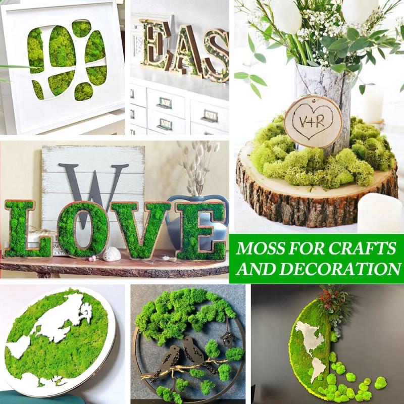 New 50/30/10g Artificial Green - Sphagnum Moss Dry recensione e prezzo