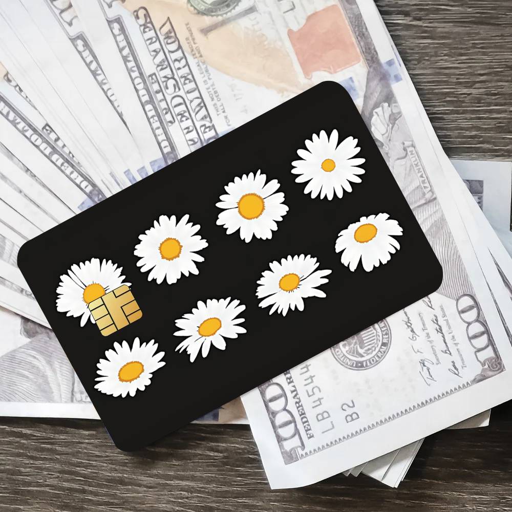 Fashion Art P-Peaceminusone Co - Peat Pellet Tray recensione e prezzo