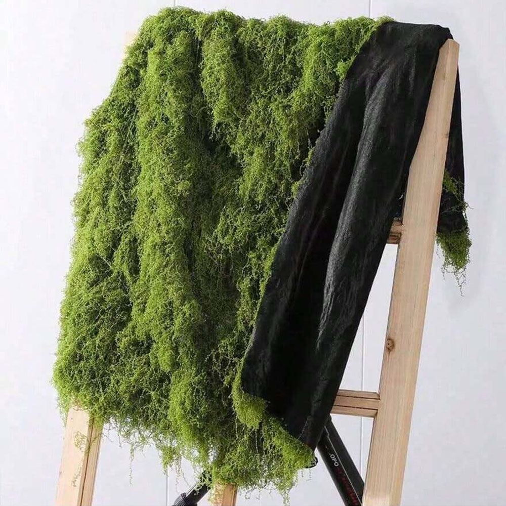 1*1m Fake Moss DIY Crafts Gras - Sphagnum Moss Dry recensione e prezzo