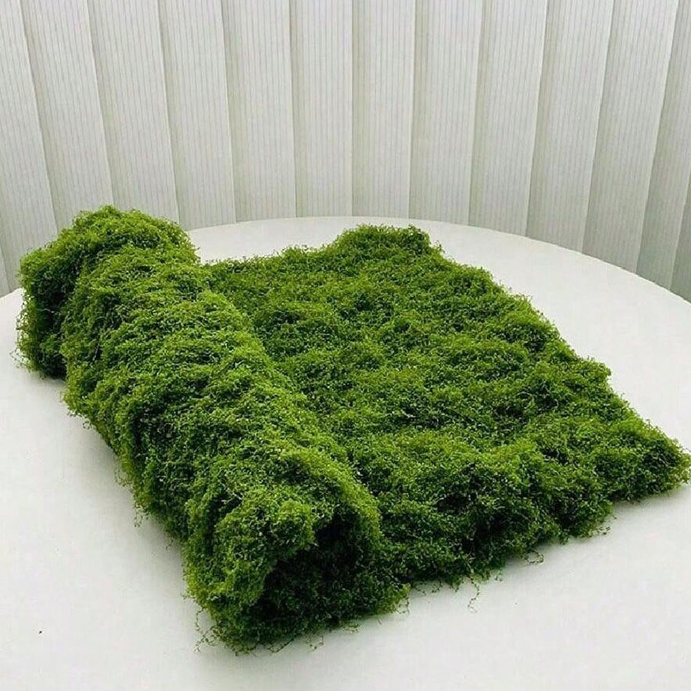 1*1m Fake Moss DIY Crafts Gras - Sphagnum Moss Dry recensione e prezzo