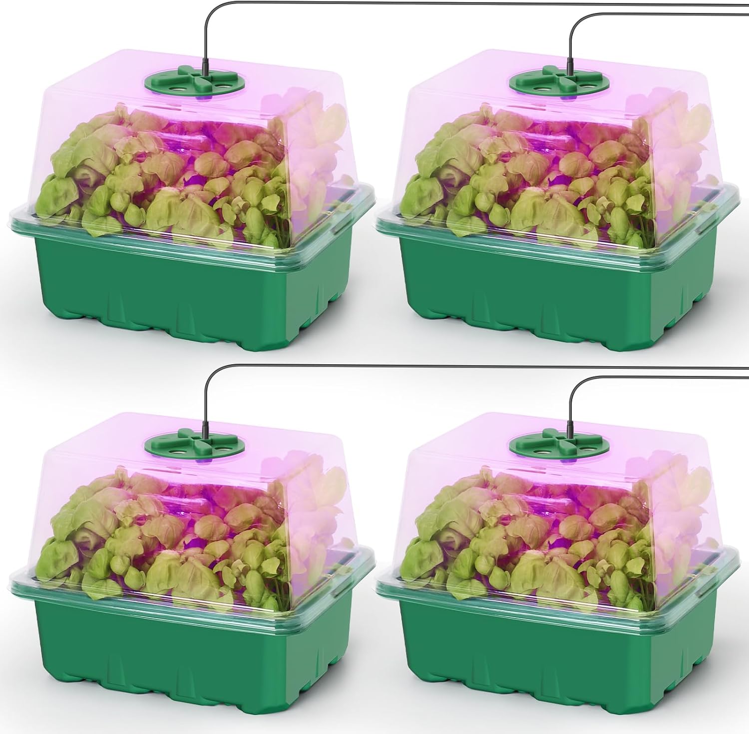 Seed Starter Kit with Grow Lig - Humidity Dome Kit recensione e prezzo