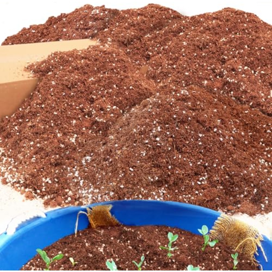 2 Mix for Indoor Plants - Cont - Coco Perlite Mix recensione e prezzo