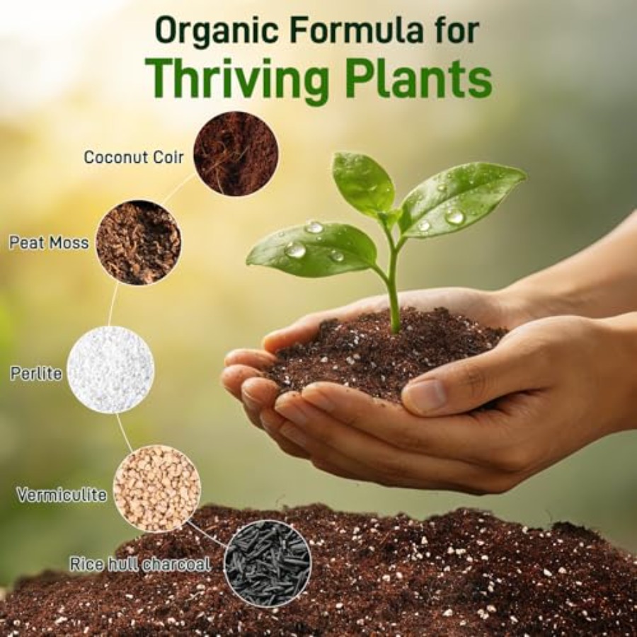 2 Mix for Indoor Plants - Cont - Coco Perlite Mix recensione e prezzo