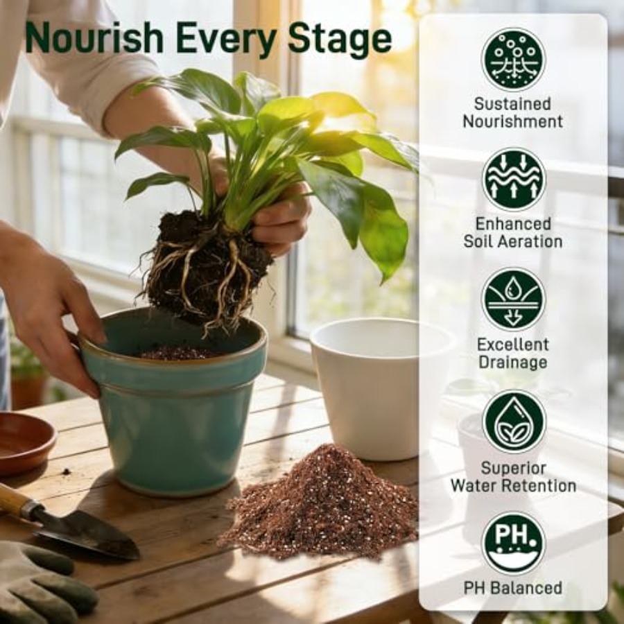 2 Mix for Indoor Plants - Cont - Coco Perlite Mix recensione e prezzo