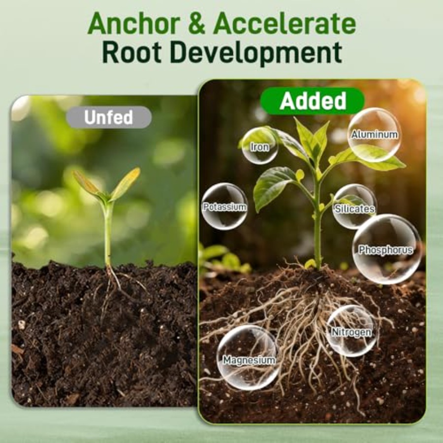 2 Mix for Indoor Plants - Cont - Coco Perlite Mix recensione e prezzo
